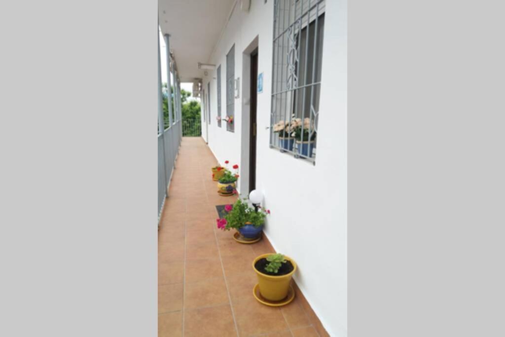Apartamento Al-Zhara, Junto Puente Romano Cordoba Exterior photo